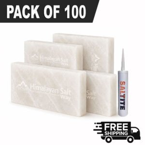 Himalayan White Salt Tiles 8x4x1 Pack of 100 | With 3 Free Salt Adhesive