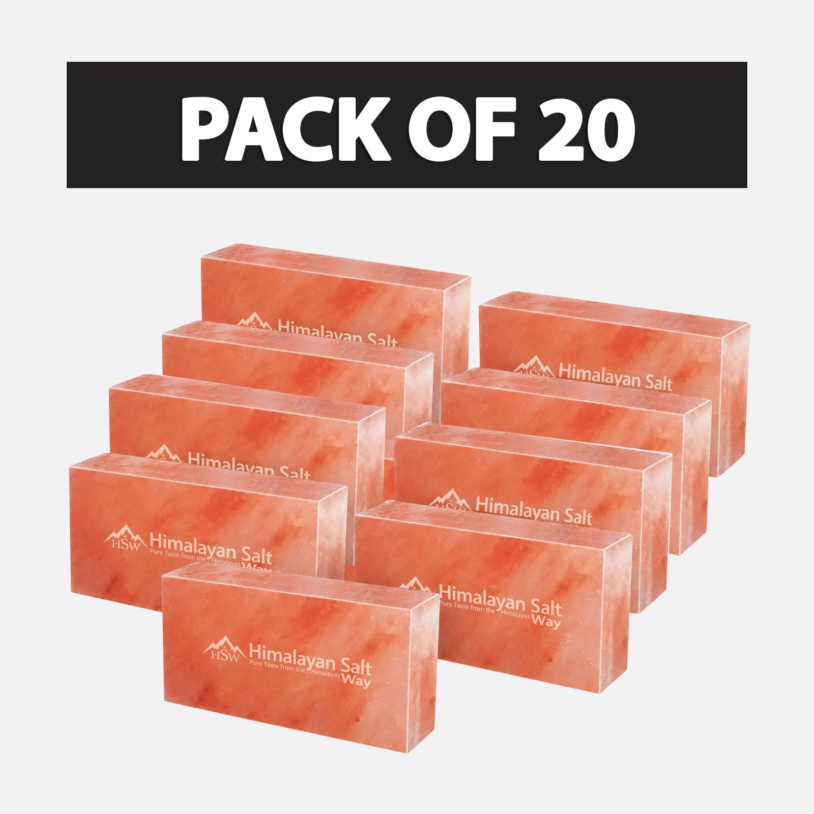 Pack-of-20-Bricks