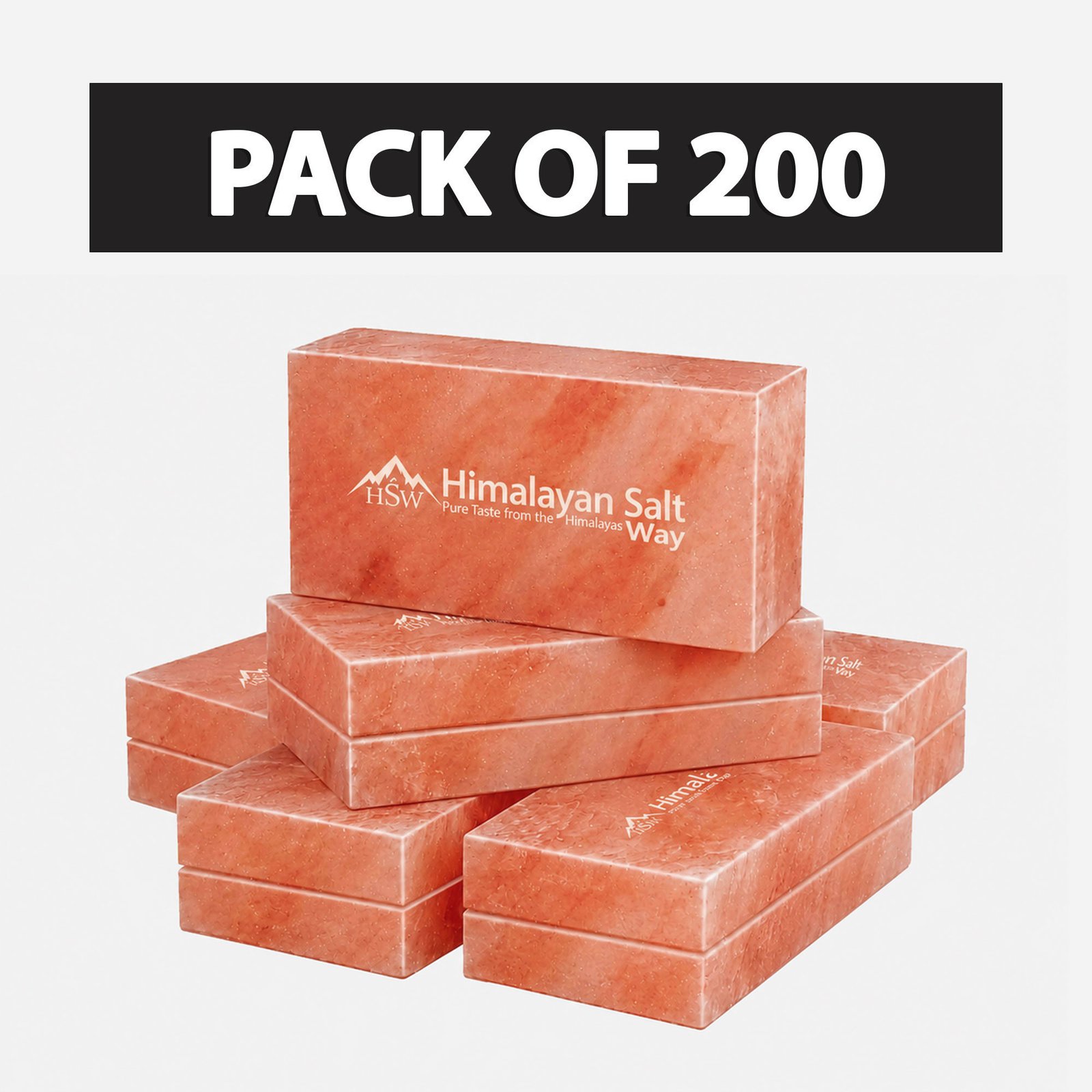 Pack-of-200-Bricks
