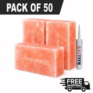 Himalayan Pink Salt Bricks Pack of 50 with Adhesive for Salt Walls