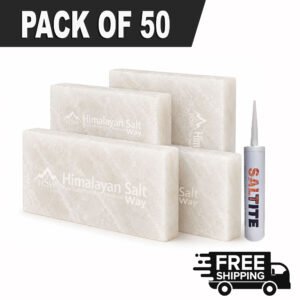 Himalayan White Salt Tiles 8x4x1 Pack of 50 | With 2 Free Salt Adhesive