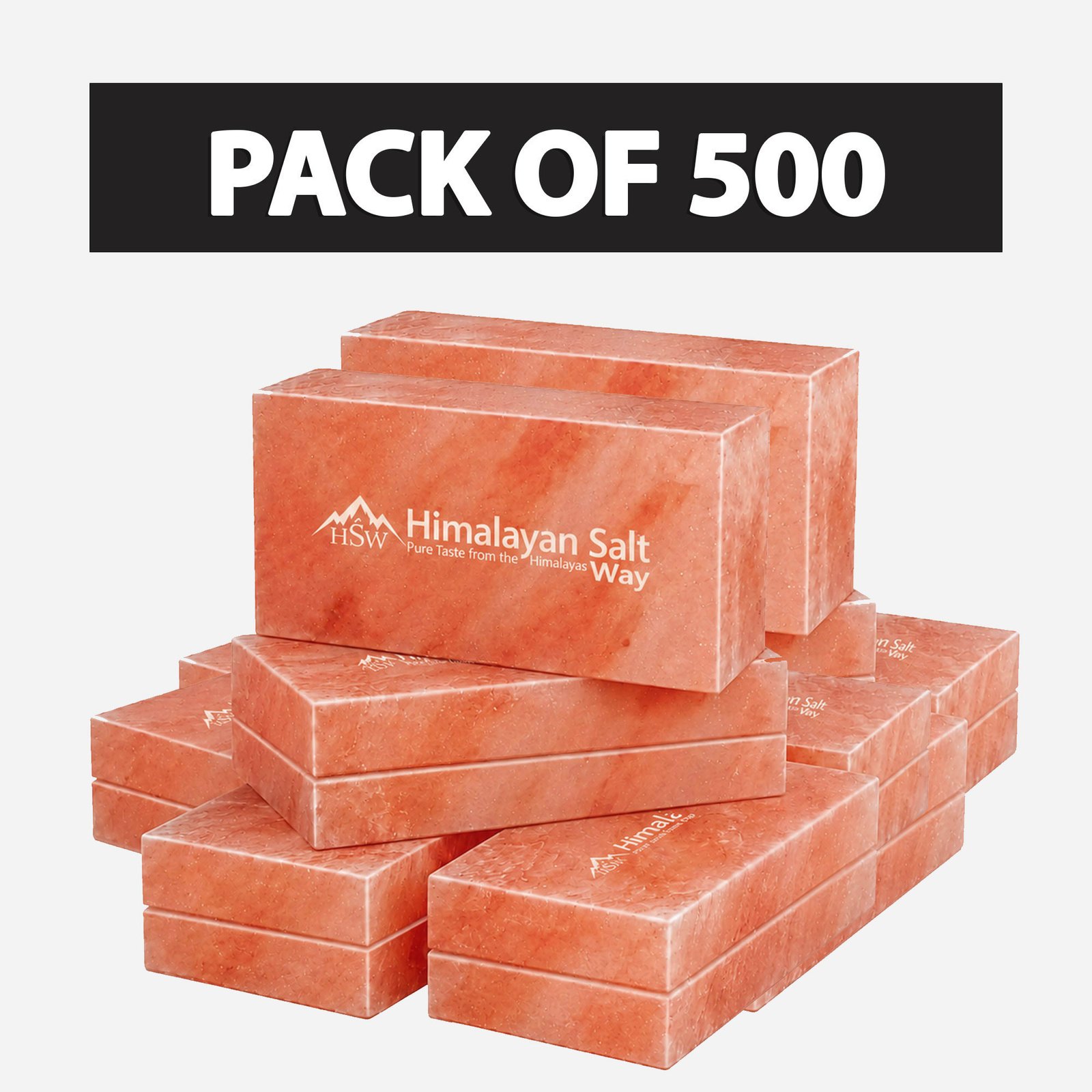 Pack-of-500-Bricks