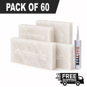 Himalayan White Salt Tiles 8x4x1 Pack of 60 | With 2 Free Salt Adhesive
