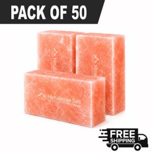 Pack-of-50-Bricks
