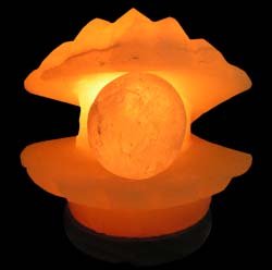 Pearl Shell Salt Lamp