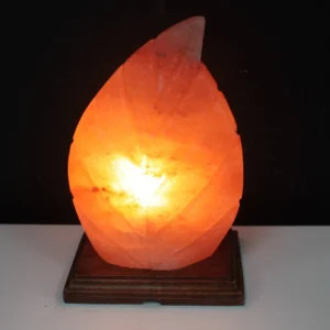 Leaf Salt Lamp
