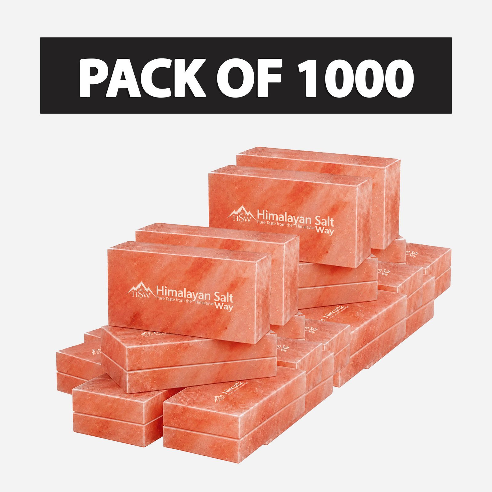 Pack-of-1000-Bricks